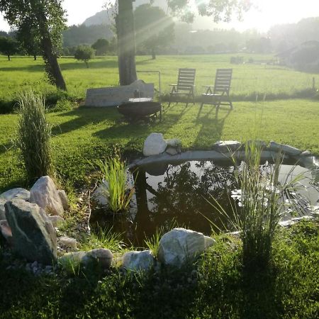 Bed and Breakfast Haus Elisabeth Aigen im Ennstal Esterno foto