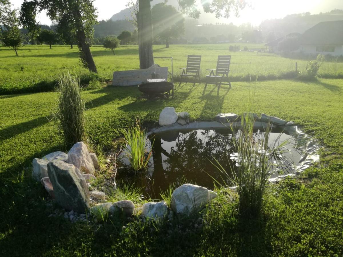 Bed and Breakfast Haus Elisabeth Aigen im Ennstal Esterno foto